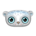 Animal snow leopard