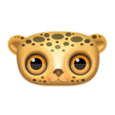 Leopard animal