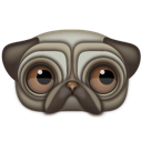 Animal pug