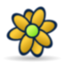 Icq flower