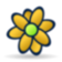 Icq flower