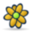 Icq flower