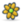 Icq flower