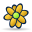 Flower icq