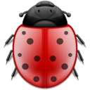 Ladybird animal insect bug