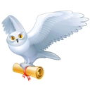 Owl harry potter bird mail hedwig animal fly