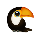 Toucan bird animal