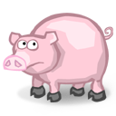 Animal pig