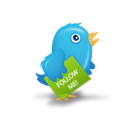 Twitter bird 2