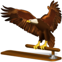 Animal bird eagle thunderbird