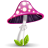 Mushroom pink tag pilz