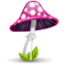 Mushroom pink tag pilz