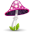 Mushroom pink tag pilz