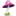 Mushroom pink tag pilz