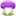 Purple mushroom