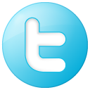 Twitter social blue button