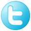 Twitter social blue button