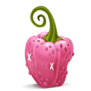 Paprika pepper