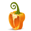 Paprika pepper