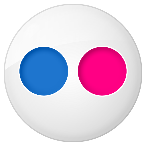 Social button flickr