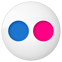 Social button flickr