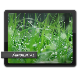 Ambient