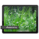Ambient