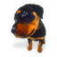 Dog rottweiler puppies hound animal puppy pet