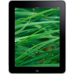 Ipad front tablet grass computer background hardware