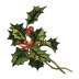 Mistletoe