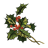 Mistletoe