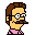 Townpeople ned flanders