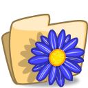 Folder flower blue