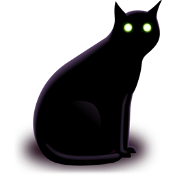 Black cat pet animal