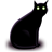 Black cat pet animal