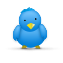 Twitter bird