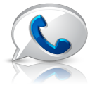 Google voice browser