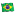 Flag brasil