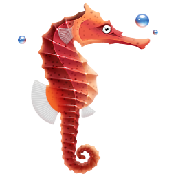 Seahorse