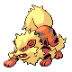 Arcanine