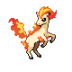 Ponyta