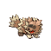 Zigzagoon