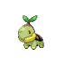 Turtwig