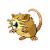 Raticate