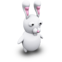 Rabbidporcelaine