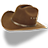 Hat cowboy brown