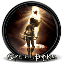 Spellborn chronicles