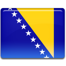 Bosnian flag