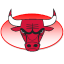 Bulls