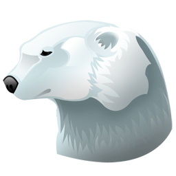 Polar bear